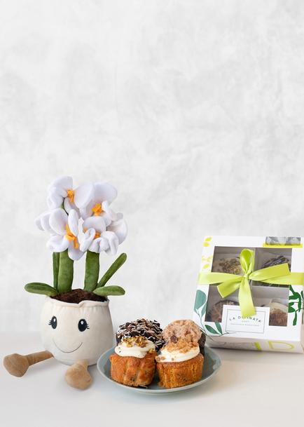 Orquidea de Peluche con Muffins La Divinata