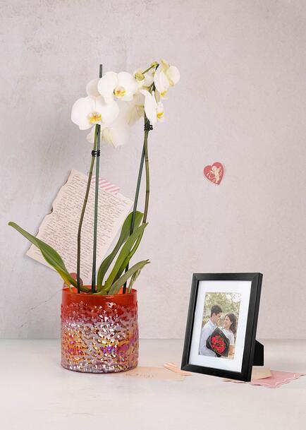 Personaliza Marco Negro y Orqu&iacute;dea Blanca