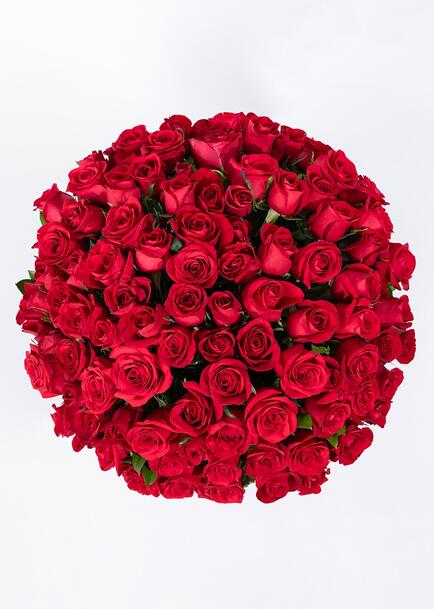 Ramo con 100 rosas rojas enviaflores