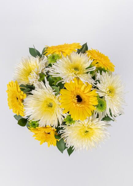 Ramo de Gerbera Amarilla con Margarita