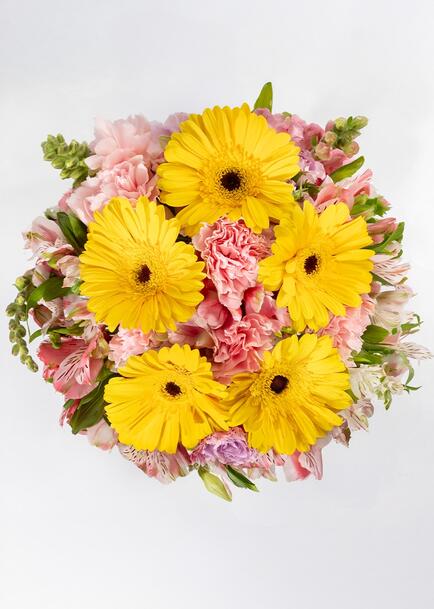 Rayos de Sol con Gerberas y Claveles