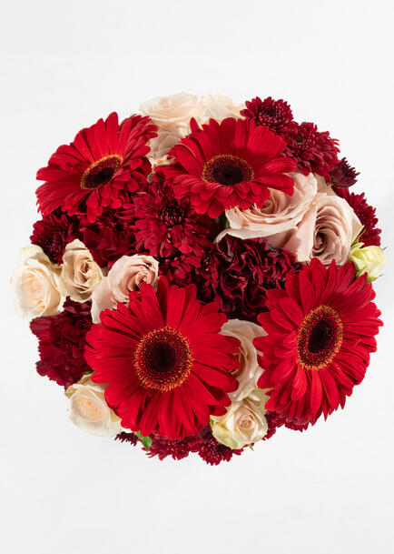 Ramo de Gerberas y Claveles Rojos