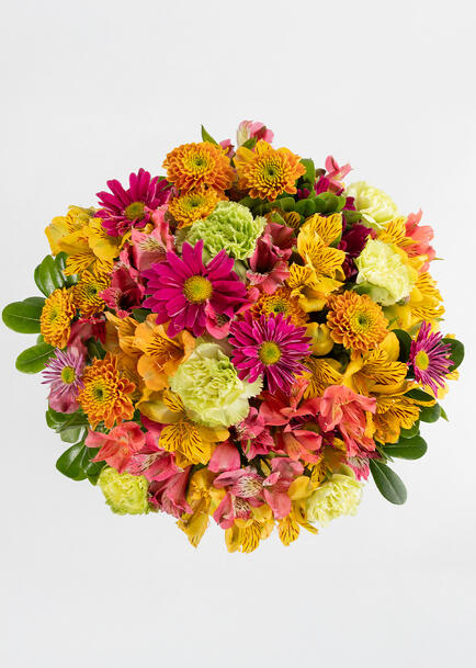 Ramo de Margaritas Magenta y Claveles