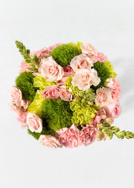 Magia por Siempre con Rosas y Claveles