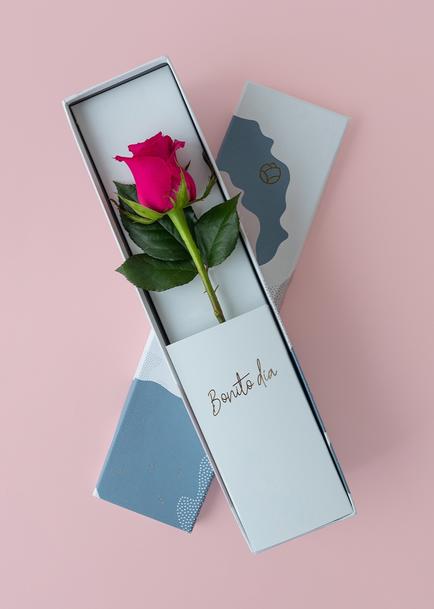 Rosa rosa intenso en caja julieta