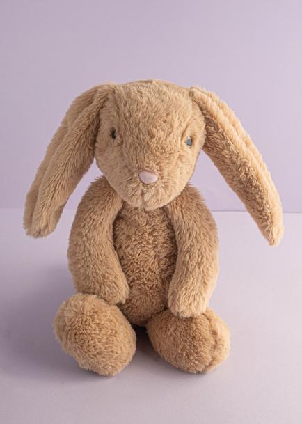 Conejo Beige de Peluche
