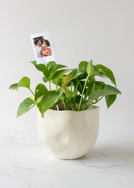 Personaliza con Mini Foto Planta de la Fortaleza