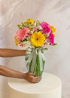 Imagen preview para 10 Gerberas Multicolor en Jarrón - 2