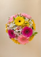 Imagen preview para 10 Gerberas Multicolor en Jarrón - 3