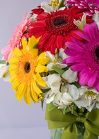 Imagen preview para 10 Gerberas Coloridas en jarrón - 3