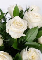 Imagen preview para 12 Rosas Blancas - 4