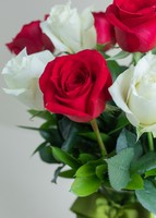 Imagen preview para 12 Rosas Radiantes - 2