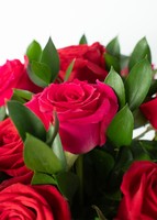 Imagen preview para Arreglo de 12 Rosas Rojas y Fucsia - 4