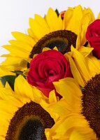 Imagen preview para 12 Rosas rojas con girasoles en jarron - 4