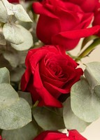 Imagen preview para Clásico Amor con 24 rosas rojas - 4