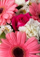 Imagen preview para Personaliza con Mini Foto Gerberas y Rosas - 2