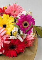 Imagen preview para 15 Gerberas Coloridas en ramo - 3