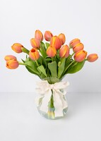 Imagen preview para 15 Tulipanes Naranjas - 1