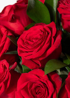 Imagen preview para 18 Rosas Rojas en Jarrón - 4