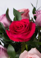 Imagen preview para Arreglo Romántico de 12 Rosas - 4