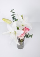 Imagen preview para Violetero con Lily blanca y Rosa claro - 3