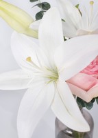 Imagen preview para Violetero con Lily blanca y Rosa claro - 4