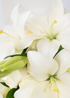 Imagen preview para Ramo de Rosas Blancas y Lilys - 4