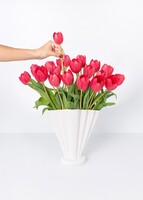 Imagen preview para 20 Tulipanes Rojos - 2