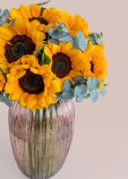 Imagen preview para 20 Girasoles en Jarrón rosa translúcido - 3