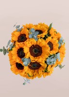 Imagen preview para 20 Girasoles en Jarrón rosa translúcido - 2