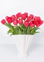 Imagen preview para 20 Tulipanes Rojos - 1
