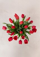 Imagen preview para 20 Tulipanes Rojos en Jarrón - 3