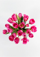 Imagen preview para 20 tulipanes Fucsia en jarrón tornasol - 3