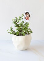 Imagen preview para Personaliza con Mini Foto con Árbol de la Abundancia - 1