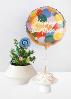 Imagen preview para Planta de la Buena Vibra con Pastel de Cumpleaños La Divinata y Globo ''Happy Birthday'' - 1