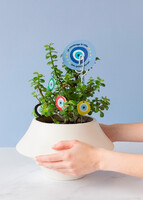 Imagen preview para Planta de la Buena Vibra con Pastel de Cumpleaños La Divinata y Globo ''Happy Birthday'' - 7