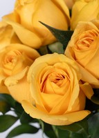 Imagen preview para 24 Rosas Amarillas - 4