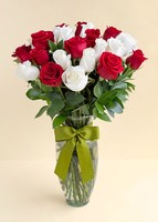 Imagen preview para 24 Rosas Radiantes - 1