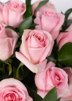 Imagen preview para 24 Rosas Rosa Claro - 4