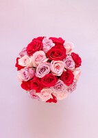 Imagen preview para Arreglo de 24 Rosas Combinadas - 3