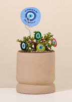 Planta de la Buena Vibra
