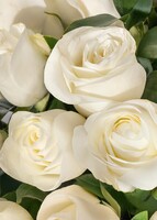 Imagen preview para 50 Rosas Blancas en jarrón - 4