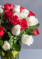 Imagen preview para 50 Rosas Radiantes - 3