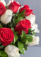 Imagen preview para 50 Rosas Radiantes - 2