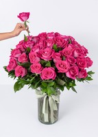 Imagen preview para 50 Rosas Rosa Intenso en Jarrón - 2