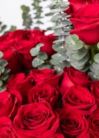 Imagen preview para 50 rosas rojas en jarrón negro - 5