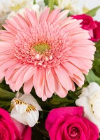 Imagen preview para 5 gerberas y rosas en jarrón tornasol - 4