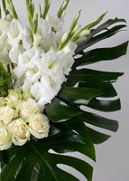 Imagen preview para Gladiolas y Rosas blancas en jarrón - 3