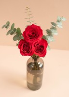 Imagen preview para Rosas rojas en violetero gris - 4