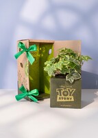 Imagen preview para Caja Disney Toy Story - 1